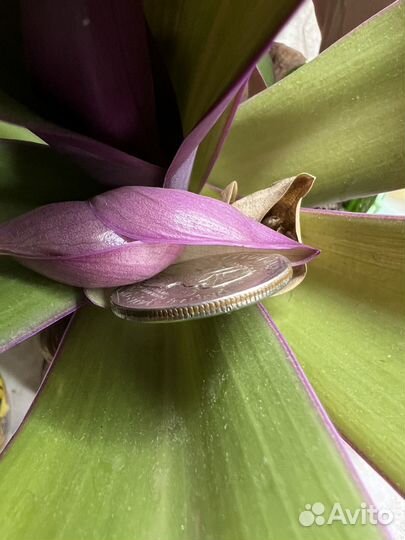 Монета one dollar liberty in god we trust