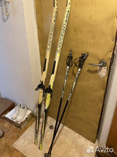 Беговые лыжи