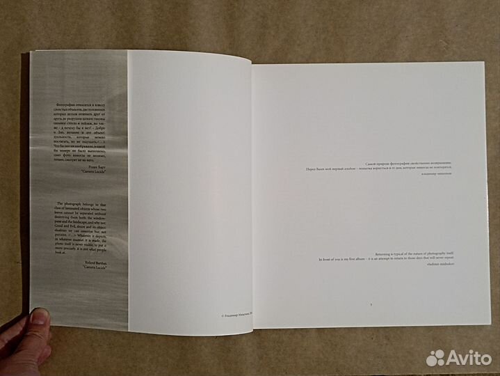 Возвращение, Владимир Мишуков