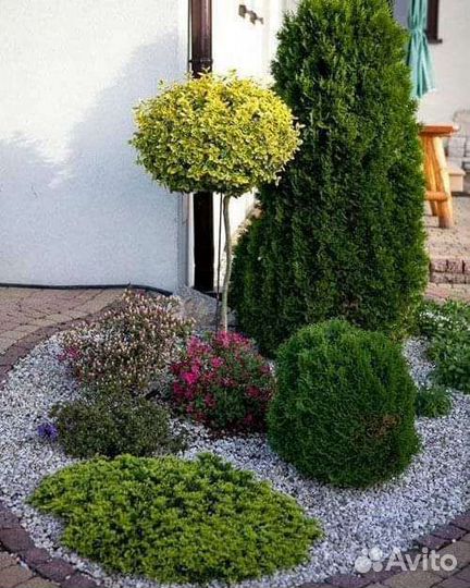 Ваш садовый участок в чистоте