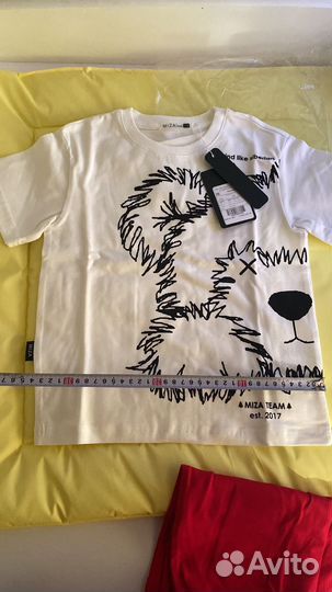 Костюм, шорты, футболка размер 110