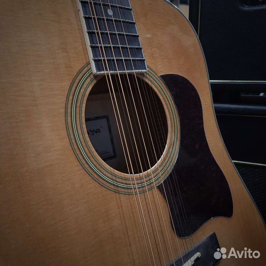 Caraya F64012 12-струнная Акустическая гитара