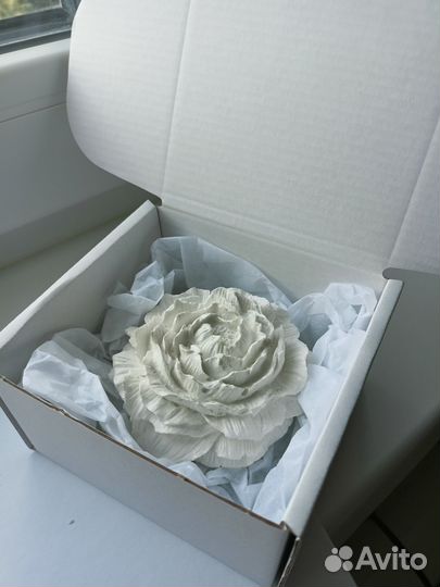 Пион для аромата в доме