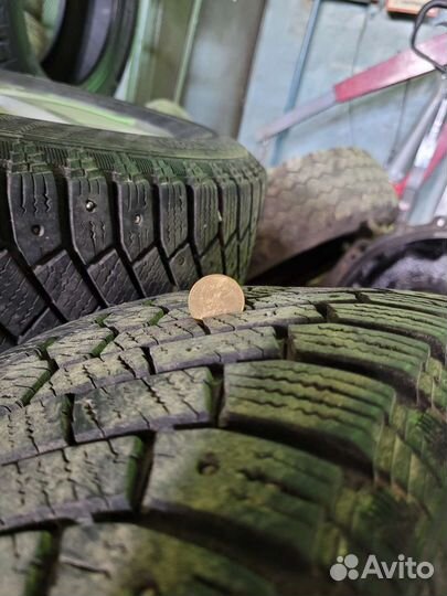 Gislaved Nord Frost 200 205/55 R16