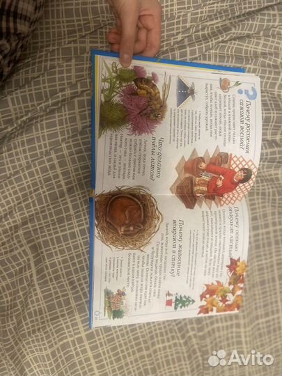 Большая книга почему