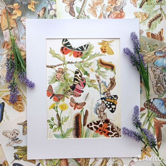 Страницы винтажной книги для оформления в интерьер