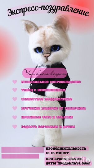 Звезды артисты ростовая кукла BIG toys