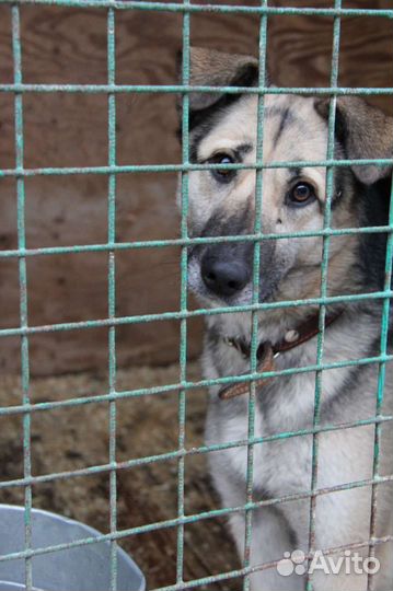 Выбери меня хоть раз, пожалуйста