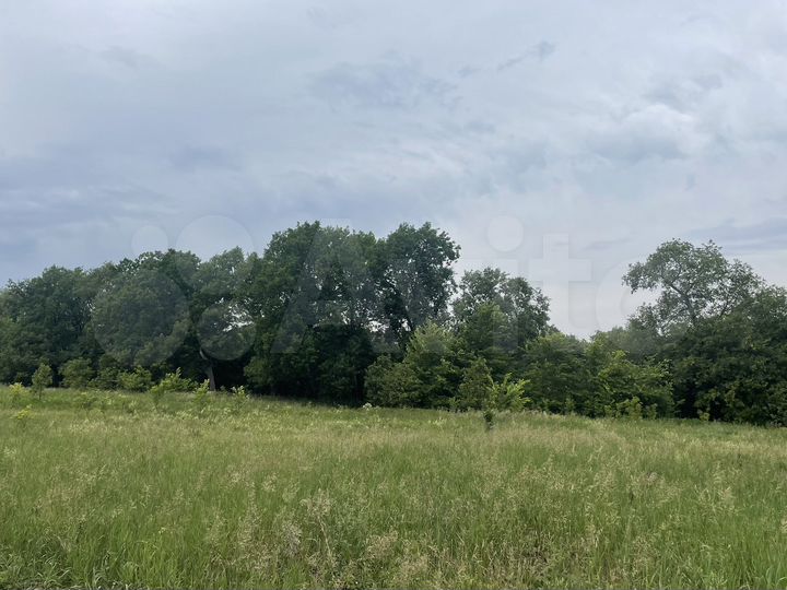 Участок 13 сот. (СНТ, ДНП)