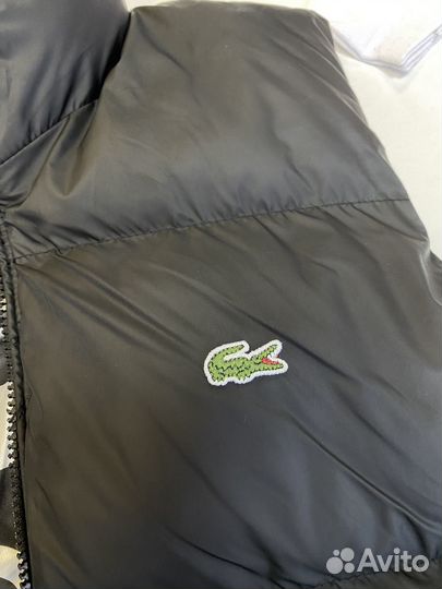 Жилетка lacoste мужская