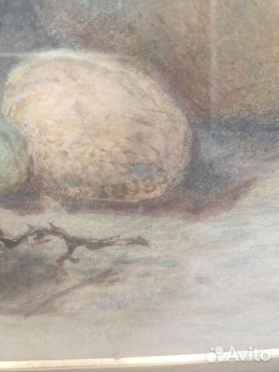 Картина антикварная натюрморт с фруктами акварель
