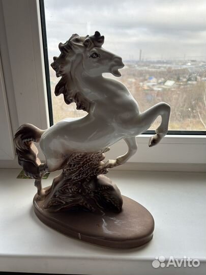 Кабан, лошадь