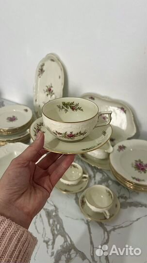 Сервиз чайный и столовый Розенталь