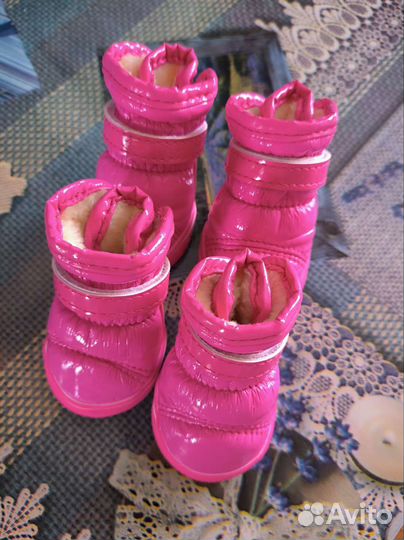 Ботинки для собак