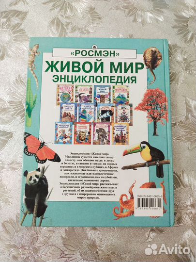 Энциклопедия для детей