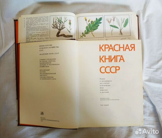 Красная книга СССР, двухтомник