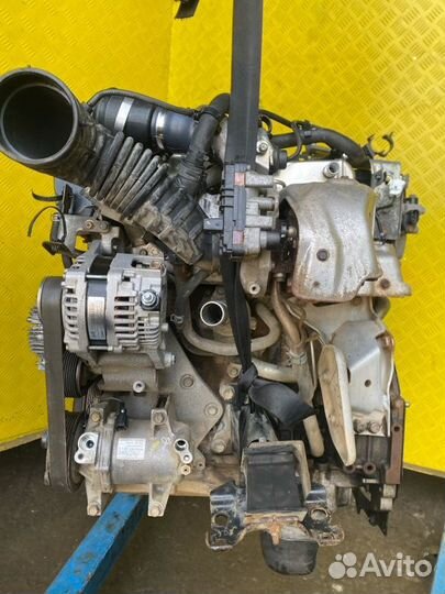 Двигатель, Nissan Navara (D40) 2004-2015 2012