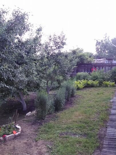 Дом 90 м² на участке 16 сот.