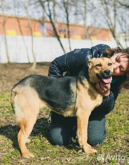 Спасите меня из приюта