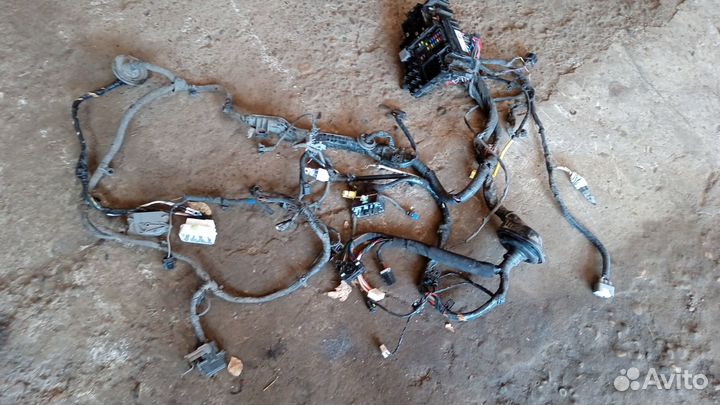 Проводка подкапотная монтажник Hyundai Elantra 6