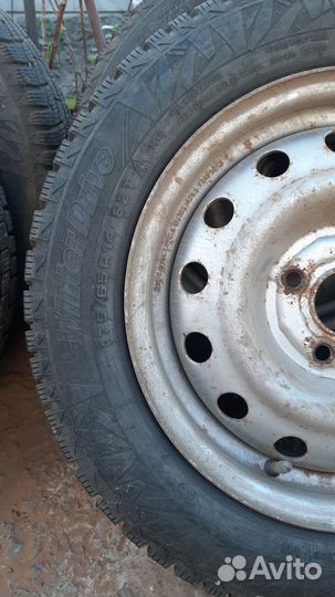 Cordiant Winter Drive 175/65 R14