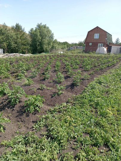 Дом 120 м² на участке 21 сот.