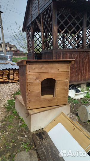 Собачья будка