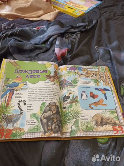 Большая Энциклопедия 200 страниц с картинками