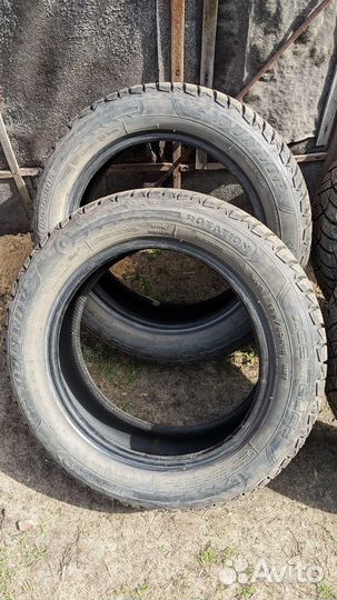 Dunlop Ice Touch 185/60 R15