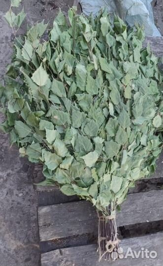 Веники берёзовые для бани