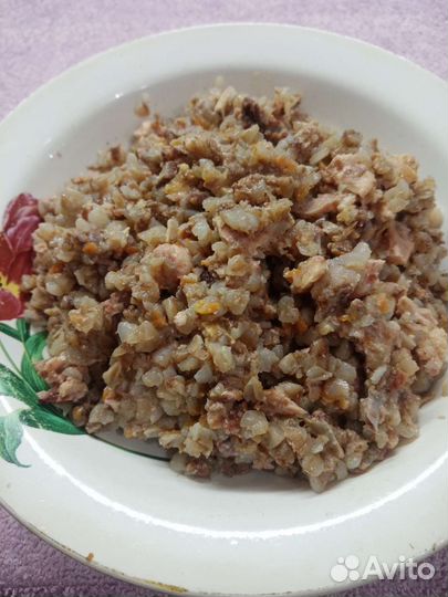 Домашние консервы для собак и кошек