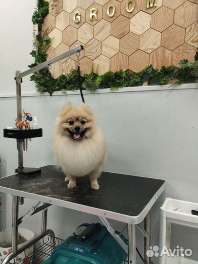 Стрижка животных