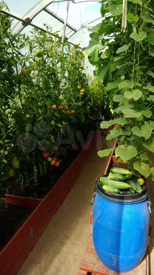 Дача 80 м² на участке 8 сот.