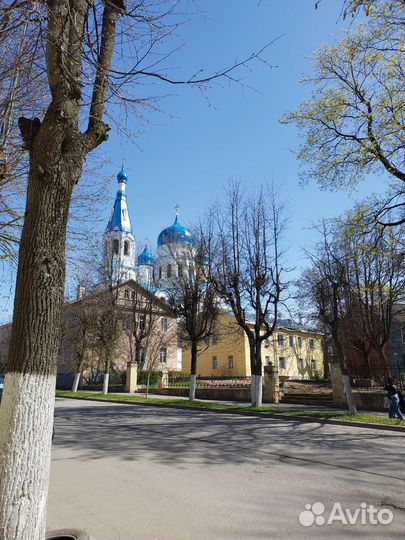 Экскурсии по Эрмитажу, Санкт-Петербургу и Гатчине