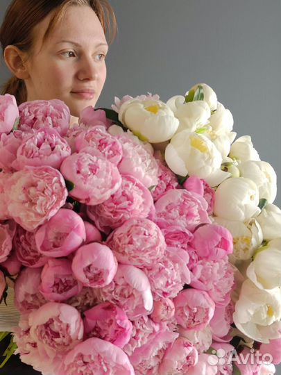 Пионы Букет пионов 3 5 7 11 22 шт