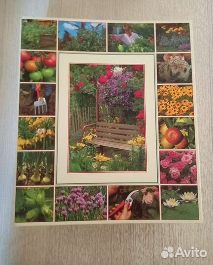 Книги-альбомы по цветоводству