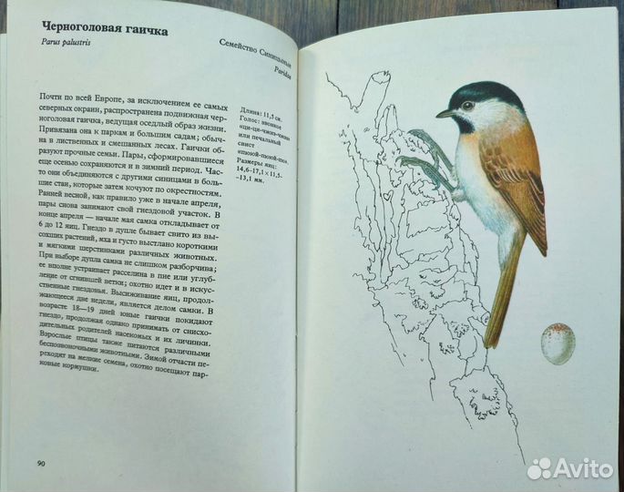 Книга про птиц