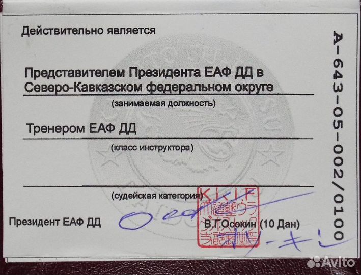 Тренировки по джиу-джитсу