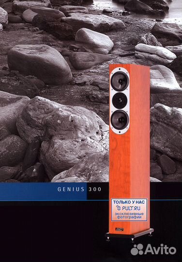 Напольная акустика ASW Genius 300 blue