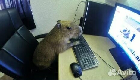 Обслуживание компьютерной техники и ноутбуков