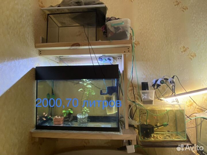 Украшение для аквариума