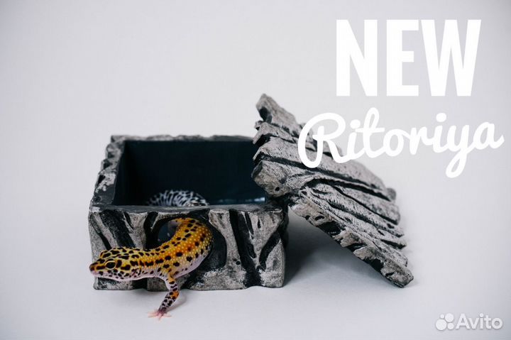 Влажная камера, укрытие и поилка для рептилий