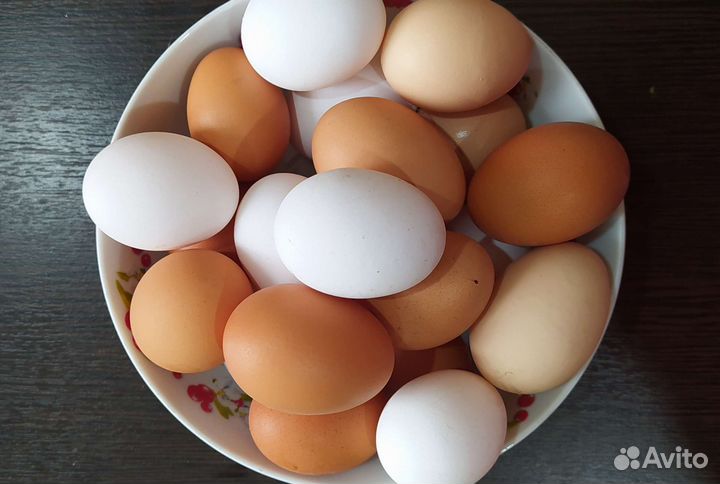 Домашние куриные яйца