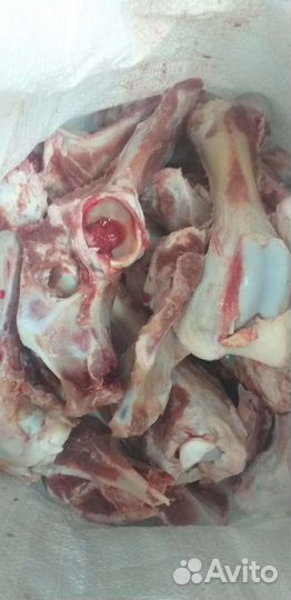 Кости для собак