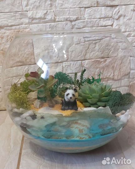 Флорариум с суккулентами