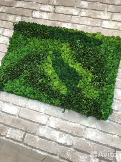 Панели из мха для декора по вашим размерам