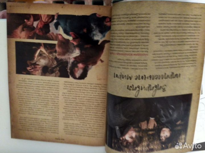 Гарри поттер статья Эмма Уотсон