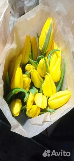 Тюльпаны букет