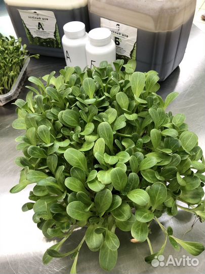 Удобрения лучшая микрозелень Комплект А+Б