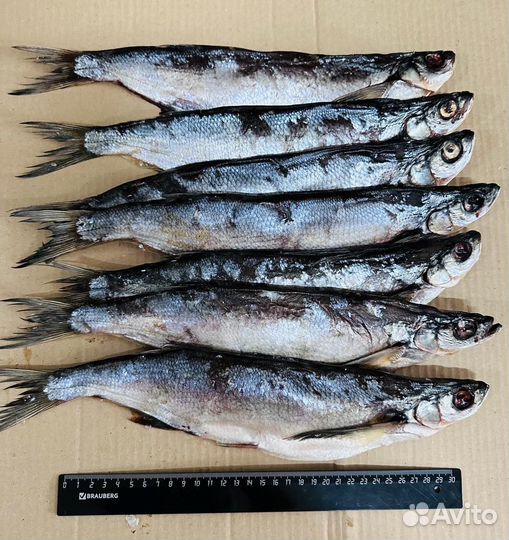 Вяленая чехонь рыба